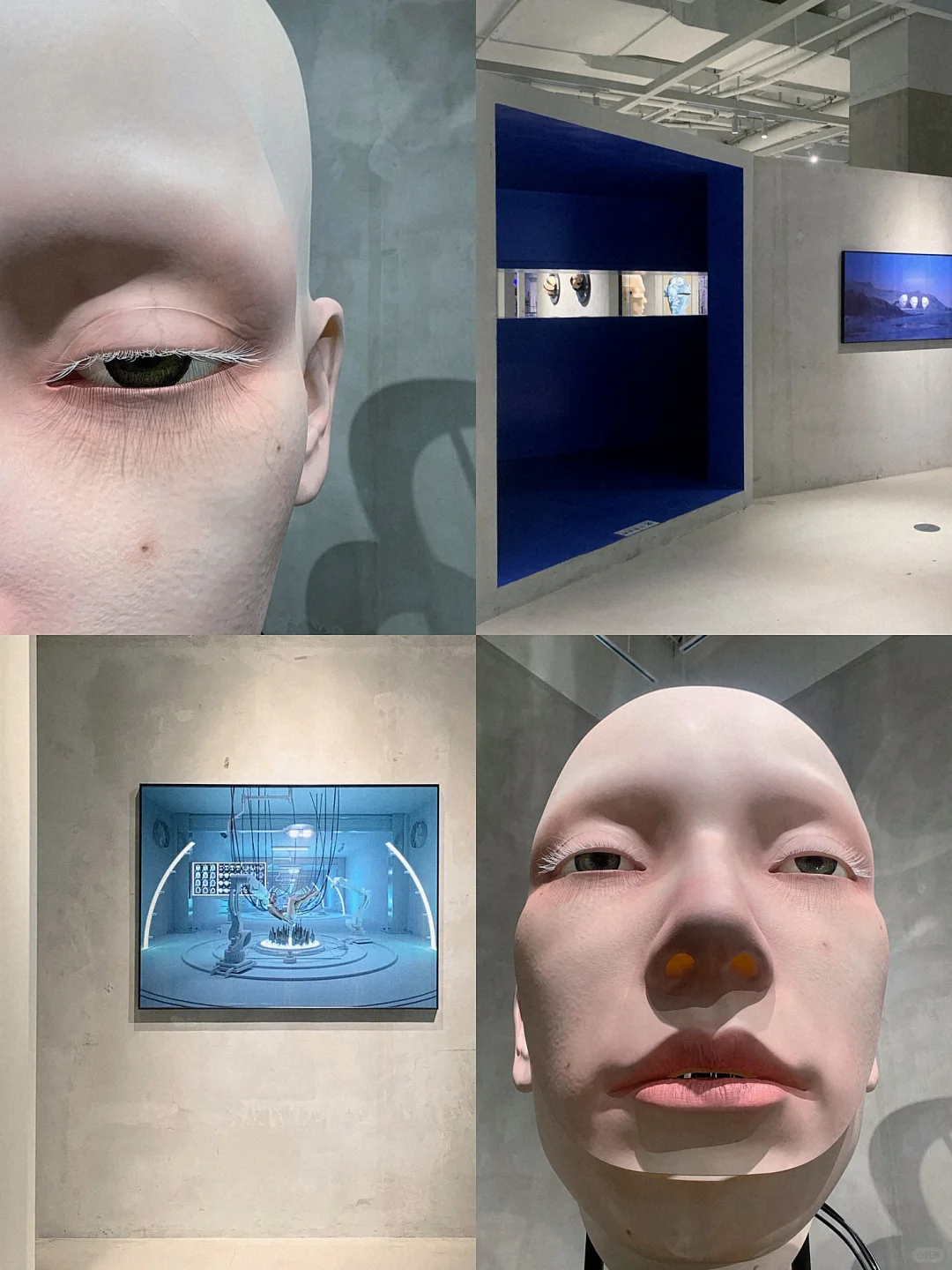 成都新展！不去上海！！成都也有了！！！