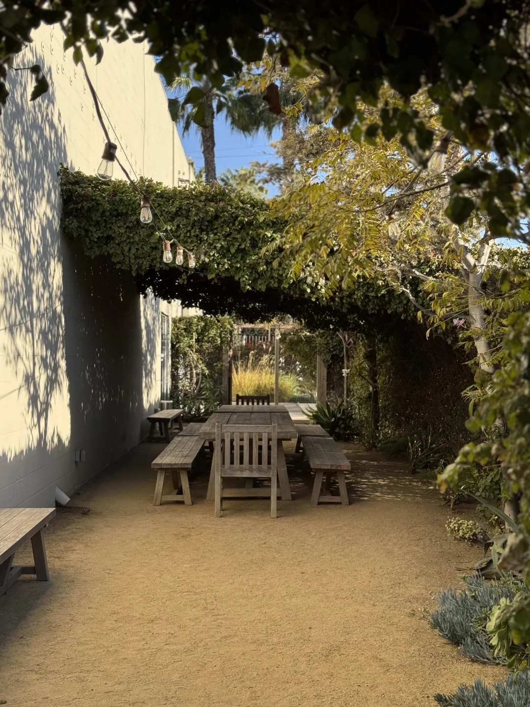 洛杉矶｜这是不花钱能看的奈良美智展啊