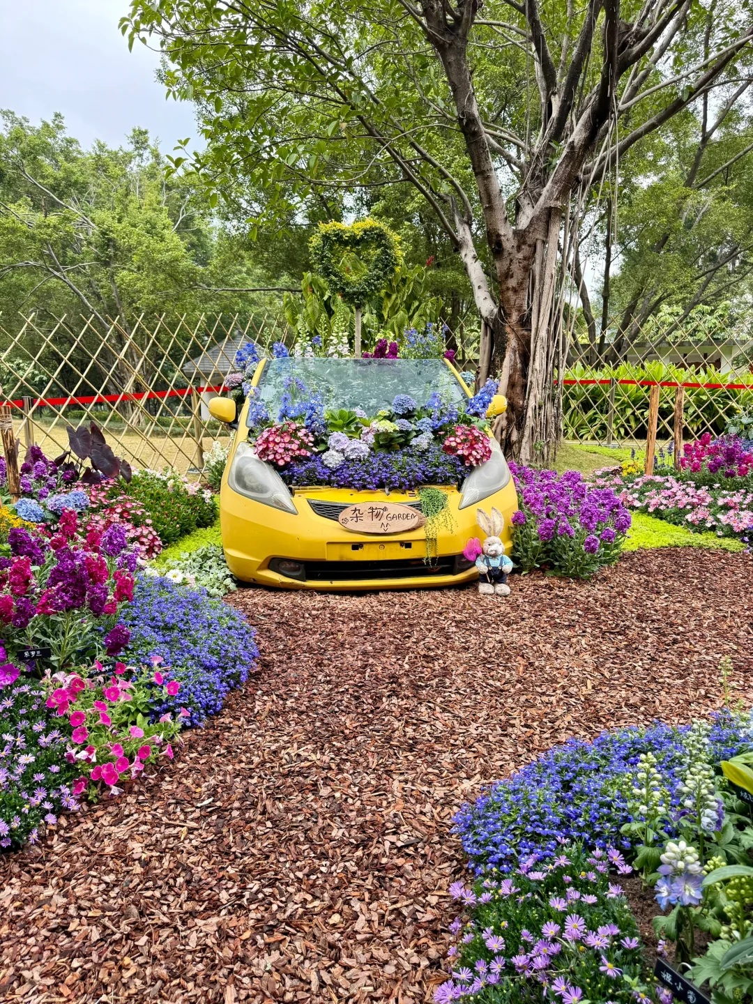 太美了！！！广州浪漫的莫奈花园，不愧为花城！！