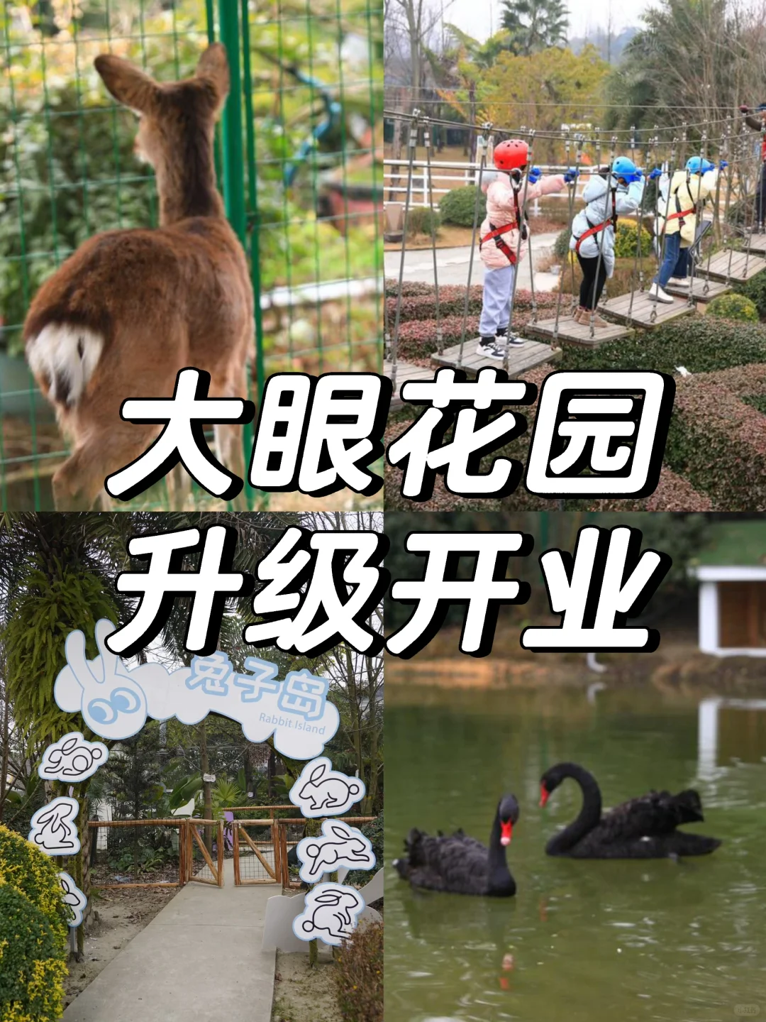 1月29日正式营业！大眼花园免费赠票来啦～