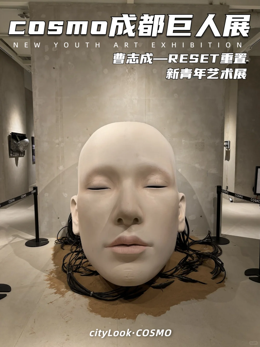 ?没去上海，就在成都，巨人展终于有了