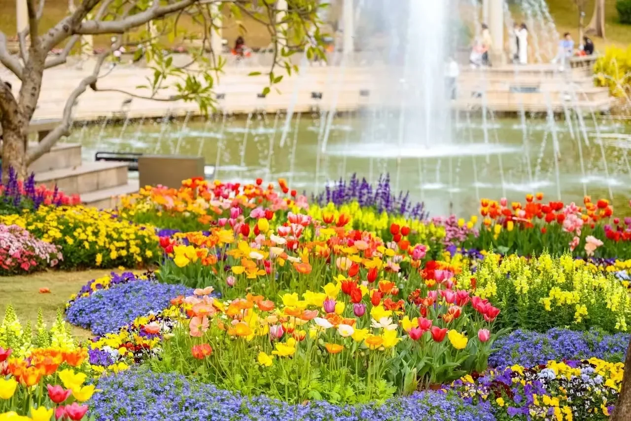 春节假期广州公园景区主题活动都在这里了！