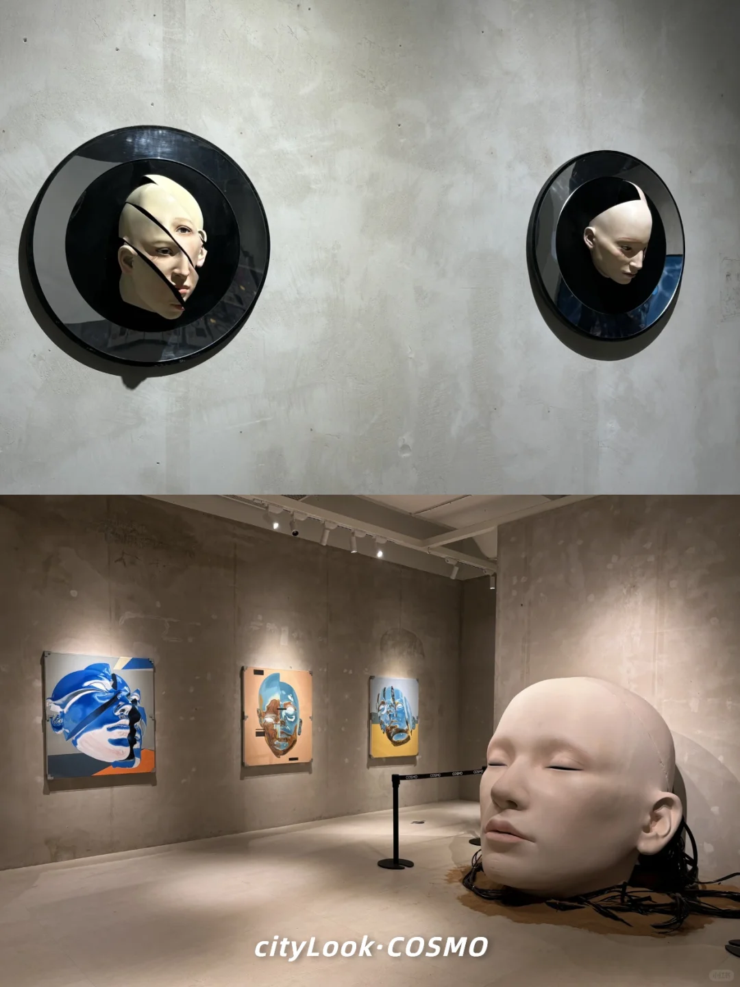 ?没去上海，就在成都，巨人展终于有了