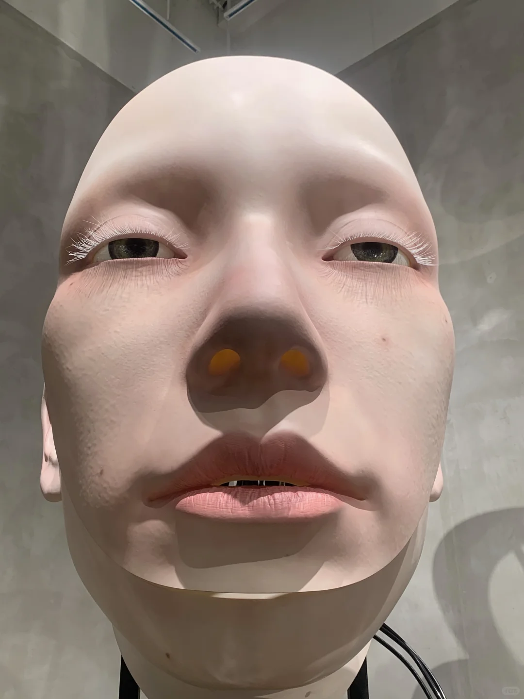 成都新展！不去上海！！成都也有了！！！