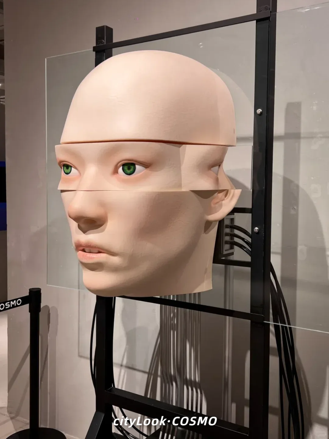 ?没去上海，就在成都，巨人展终于有了