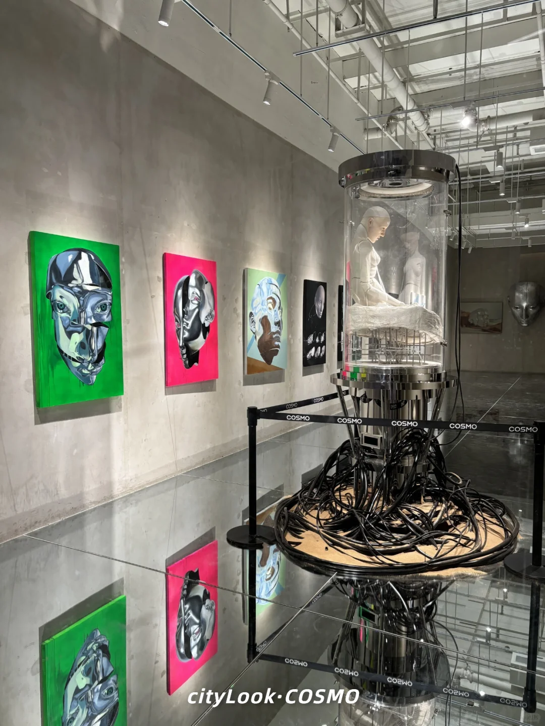 ?没去上海，就在成都，巨人展终于有了