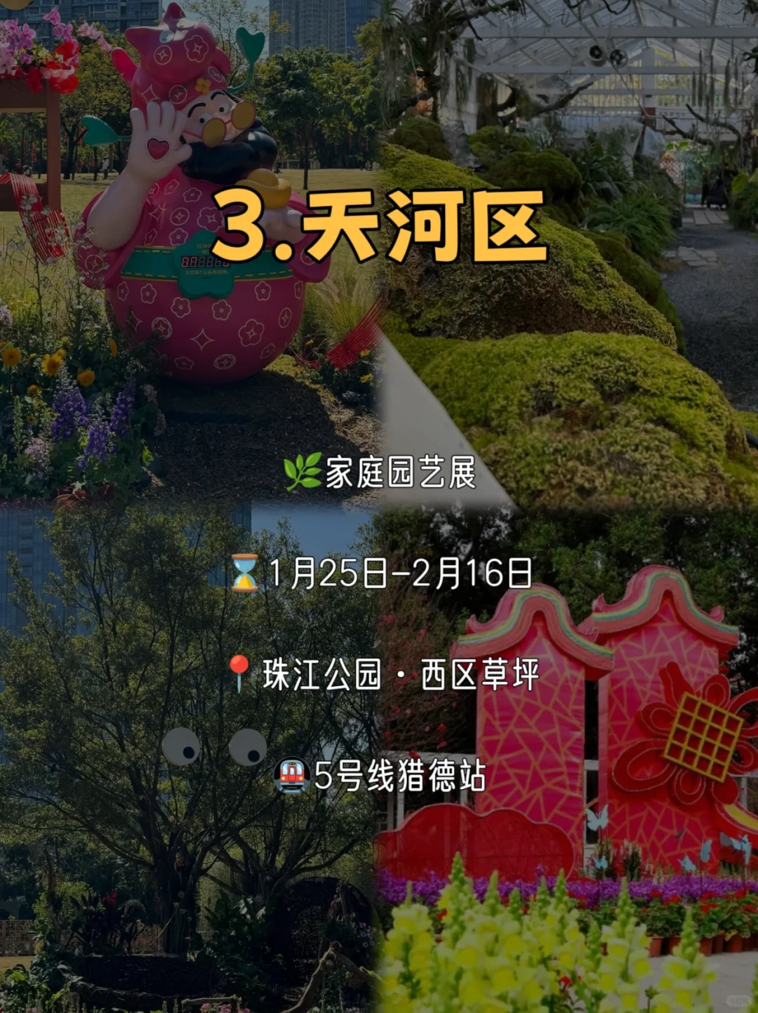 春节在广州玩足一个月❗花展➕游园➕灯会