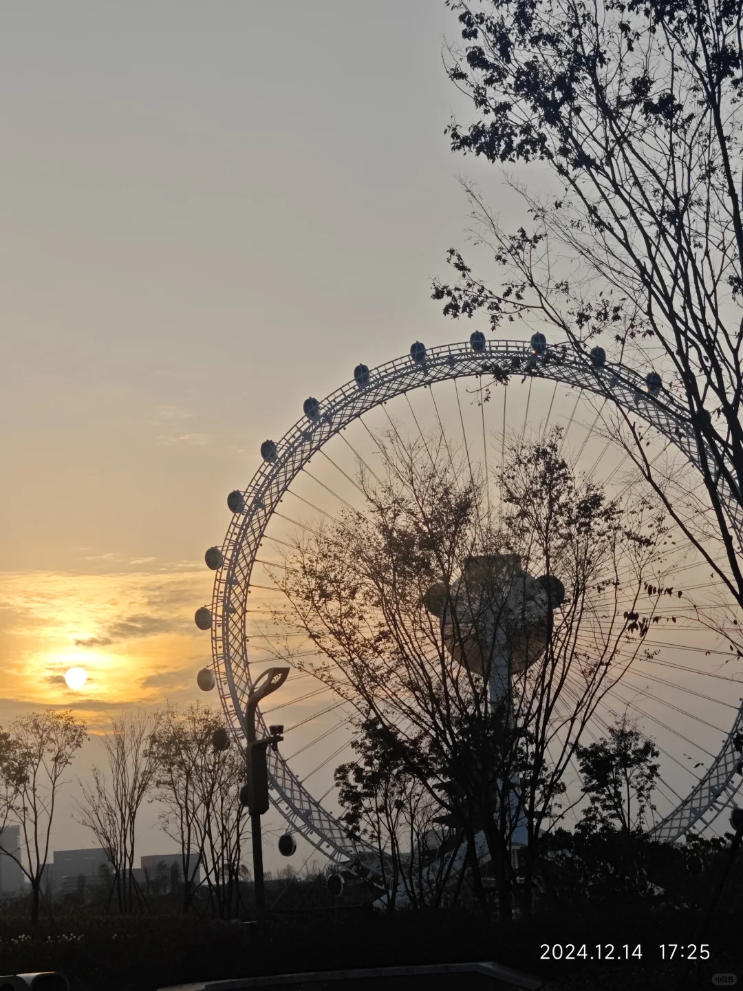 成都世界园艺博览会真的太好逛了…