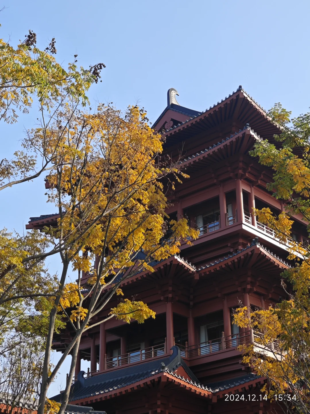 成都世界园艺博览会真的太好逛了…