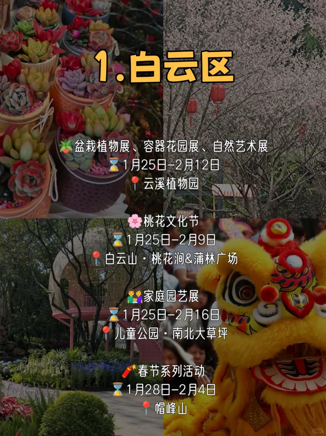 春节在广州玩足一个月❗花展➕游园➕灯会