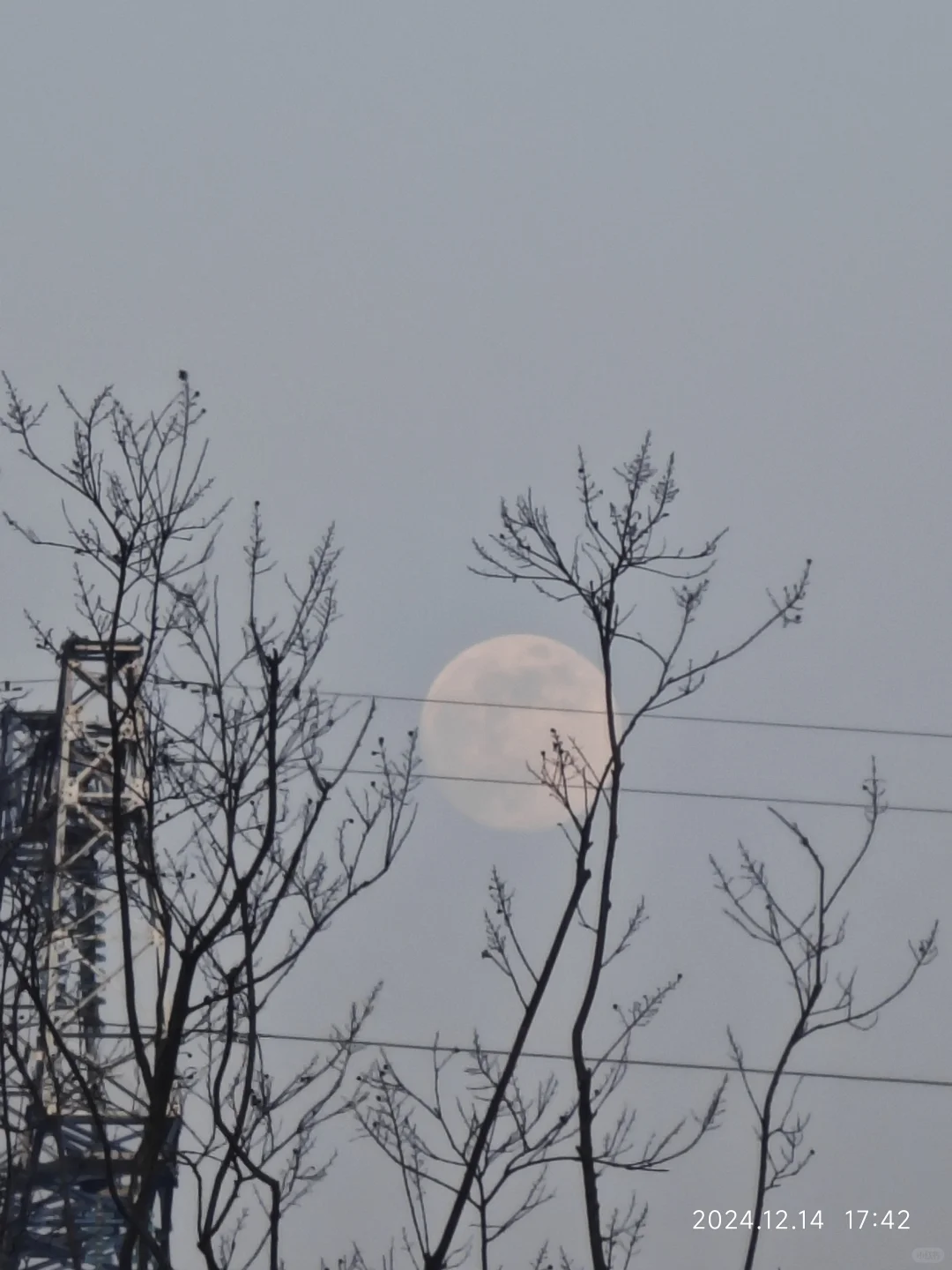 成都世界园艺博览会真的太好逛了…