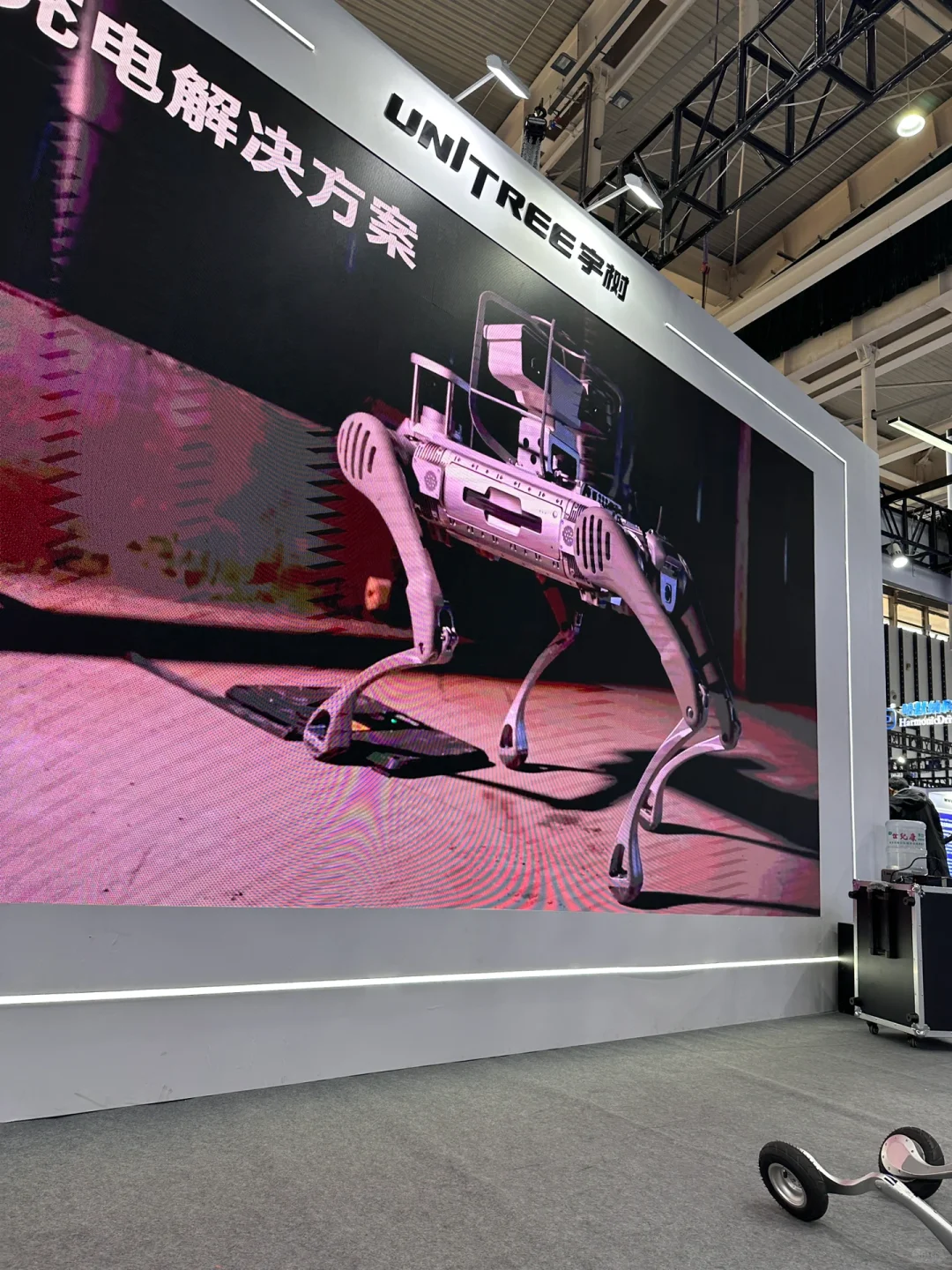 南京遛娃?看展达人又又又出动啦‼️