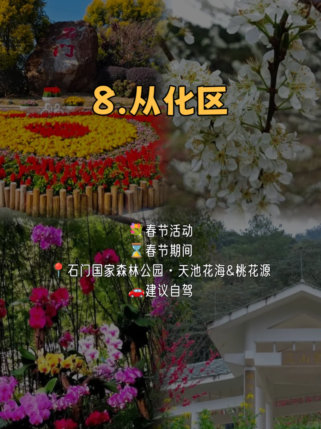 春节在广州玩足一个月❗花展➕游园➕灯会