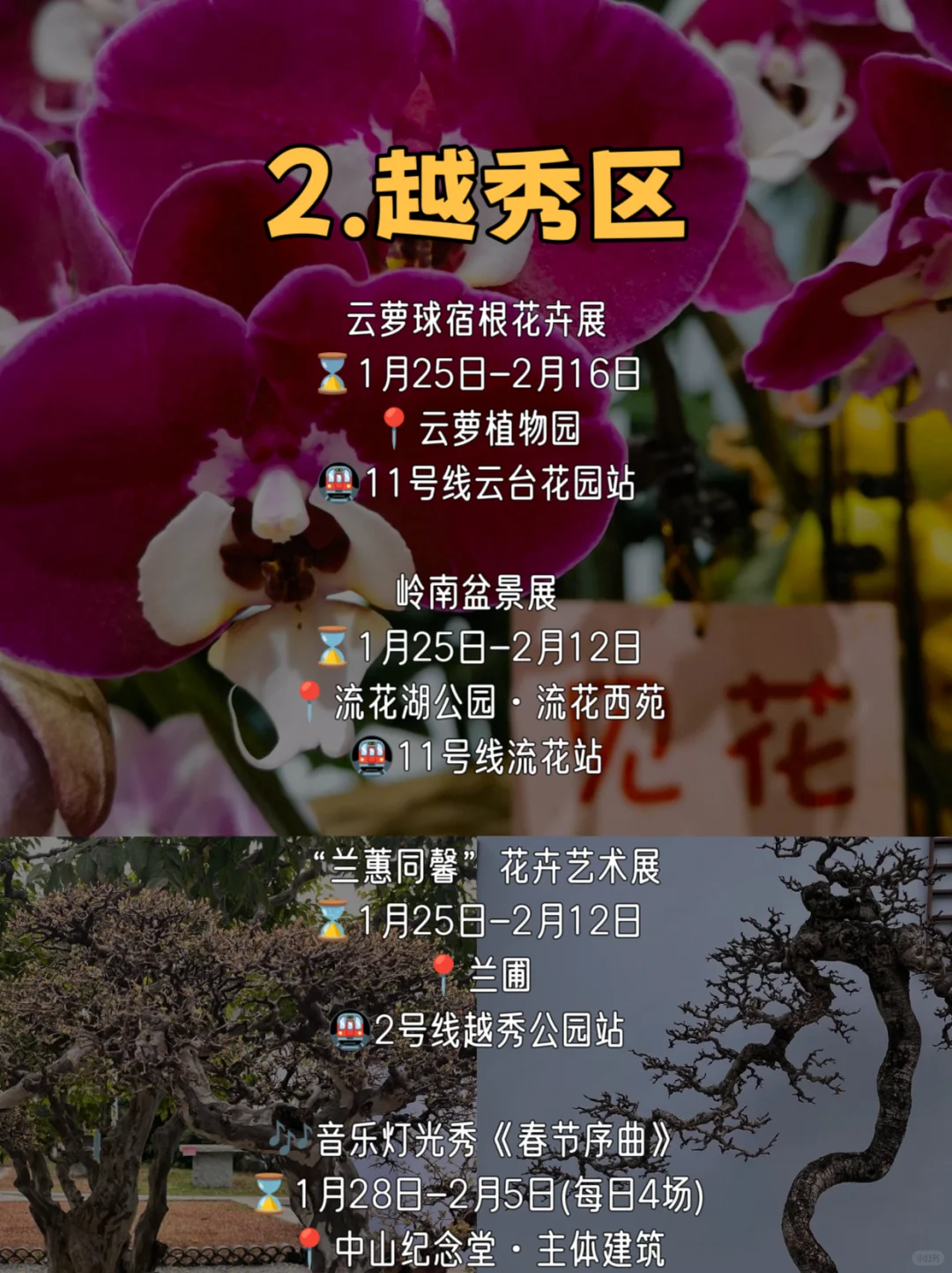 春节在广州玩足一个月❗花展➕游园➕灯会