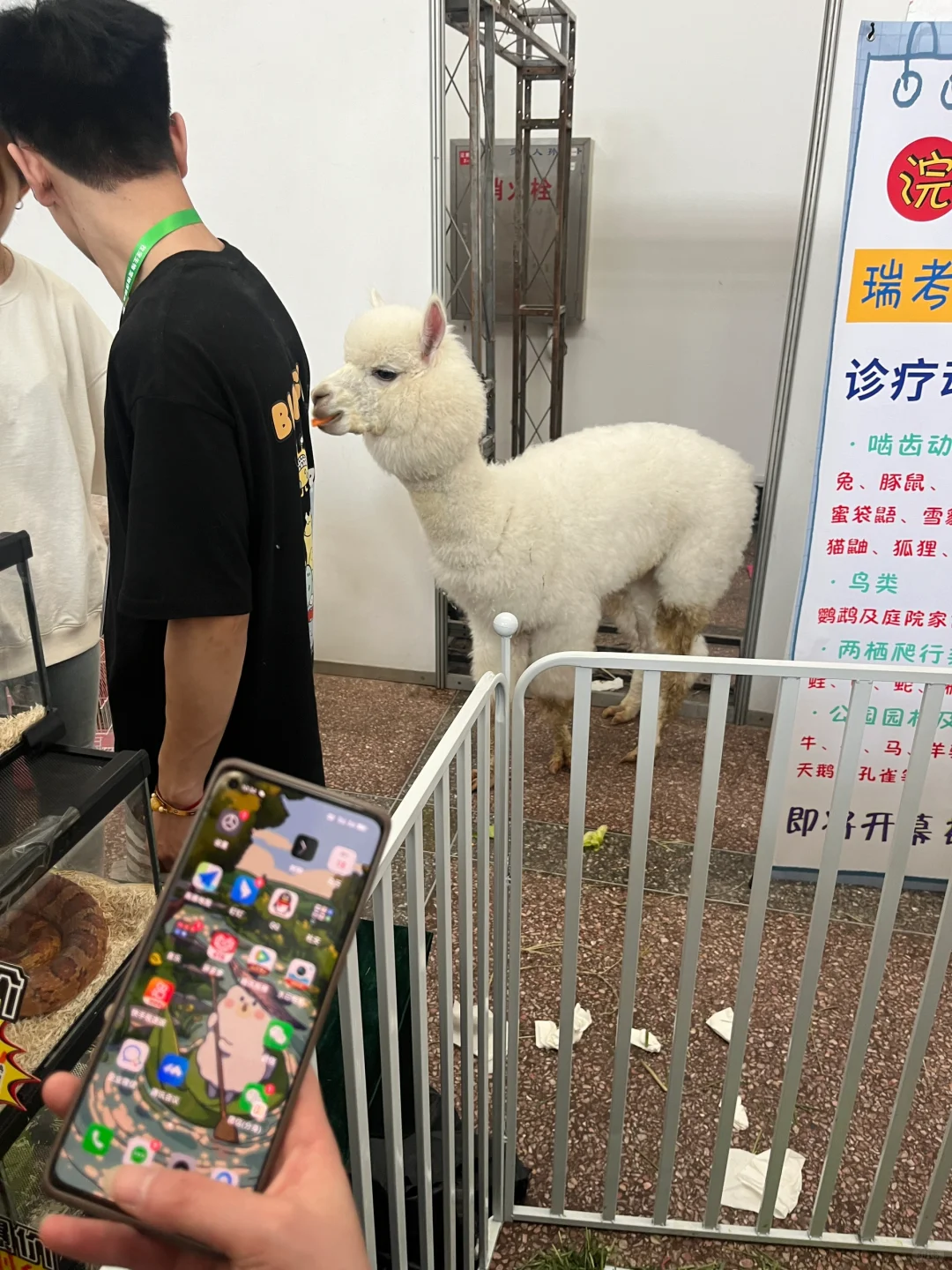 失望的一届动物博览会！