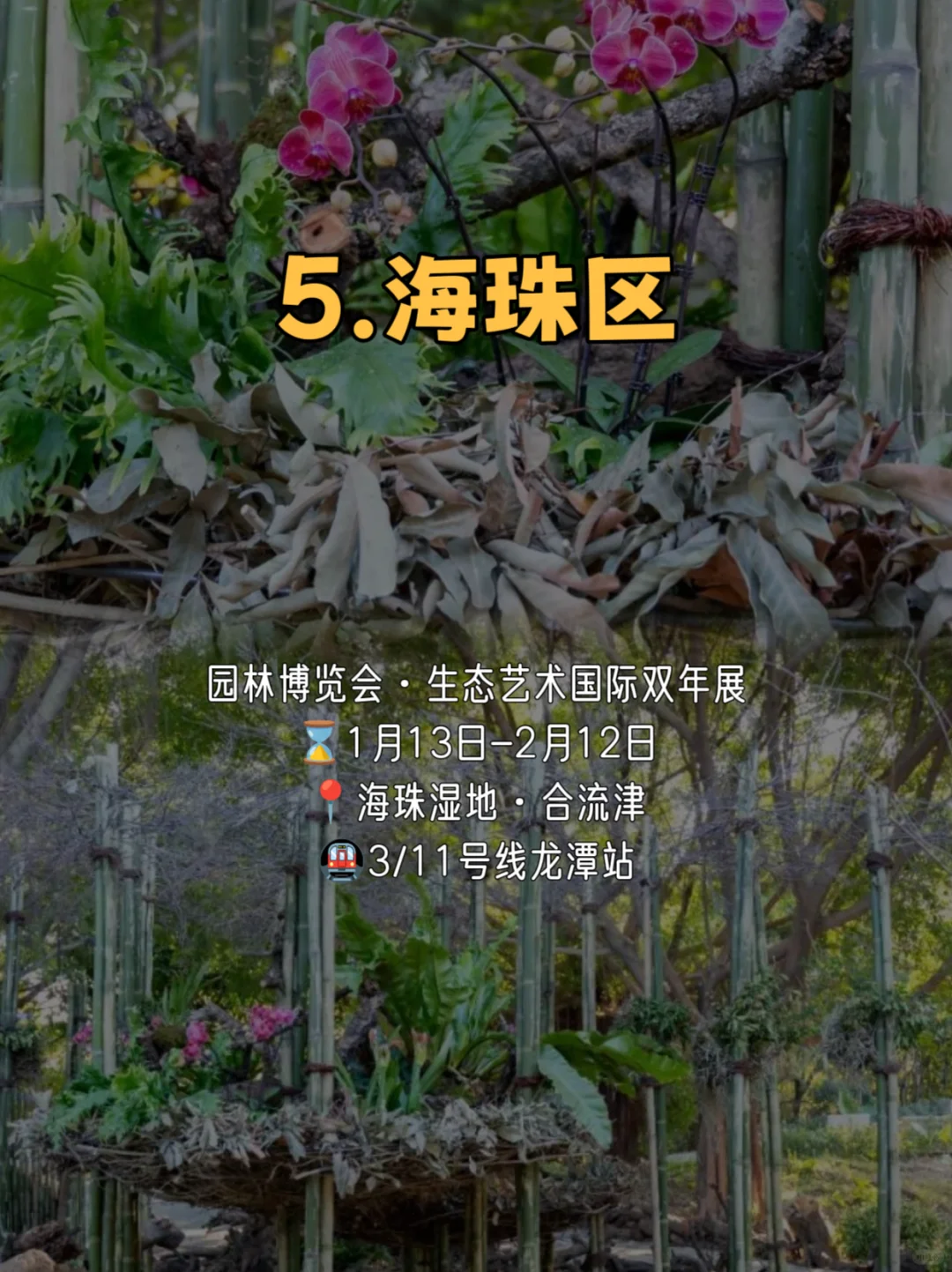 春节在广州玩足一个月❗花展➕游园➕灯会