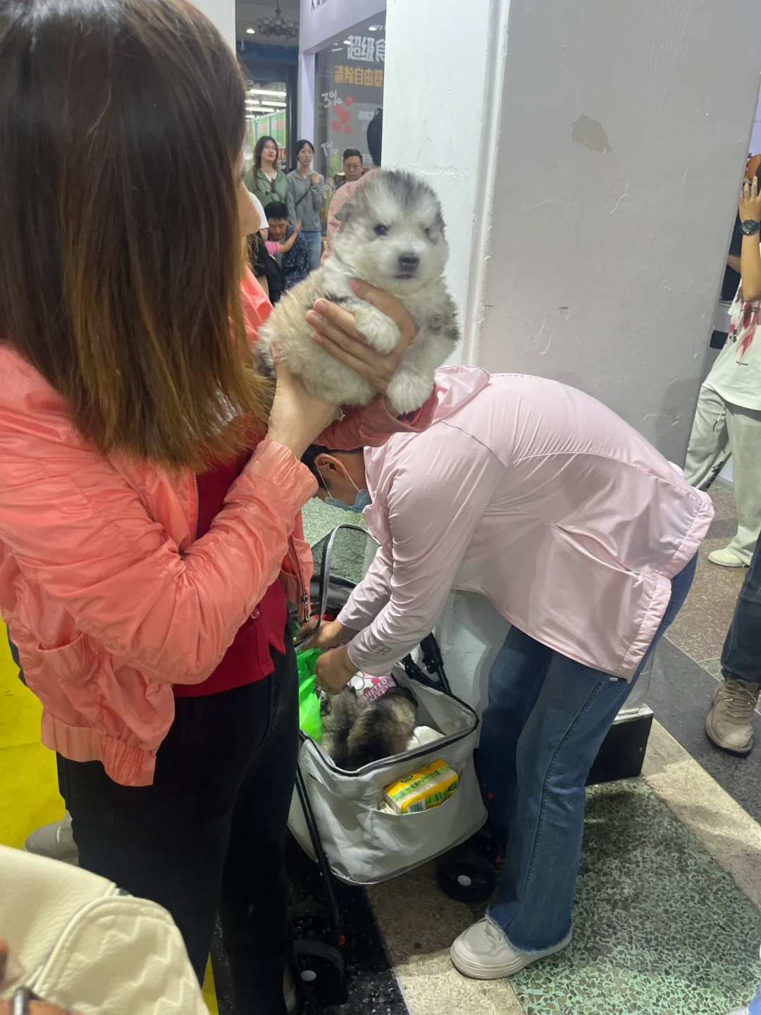 失望的一届动物博览会！