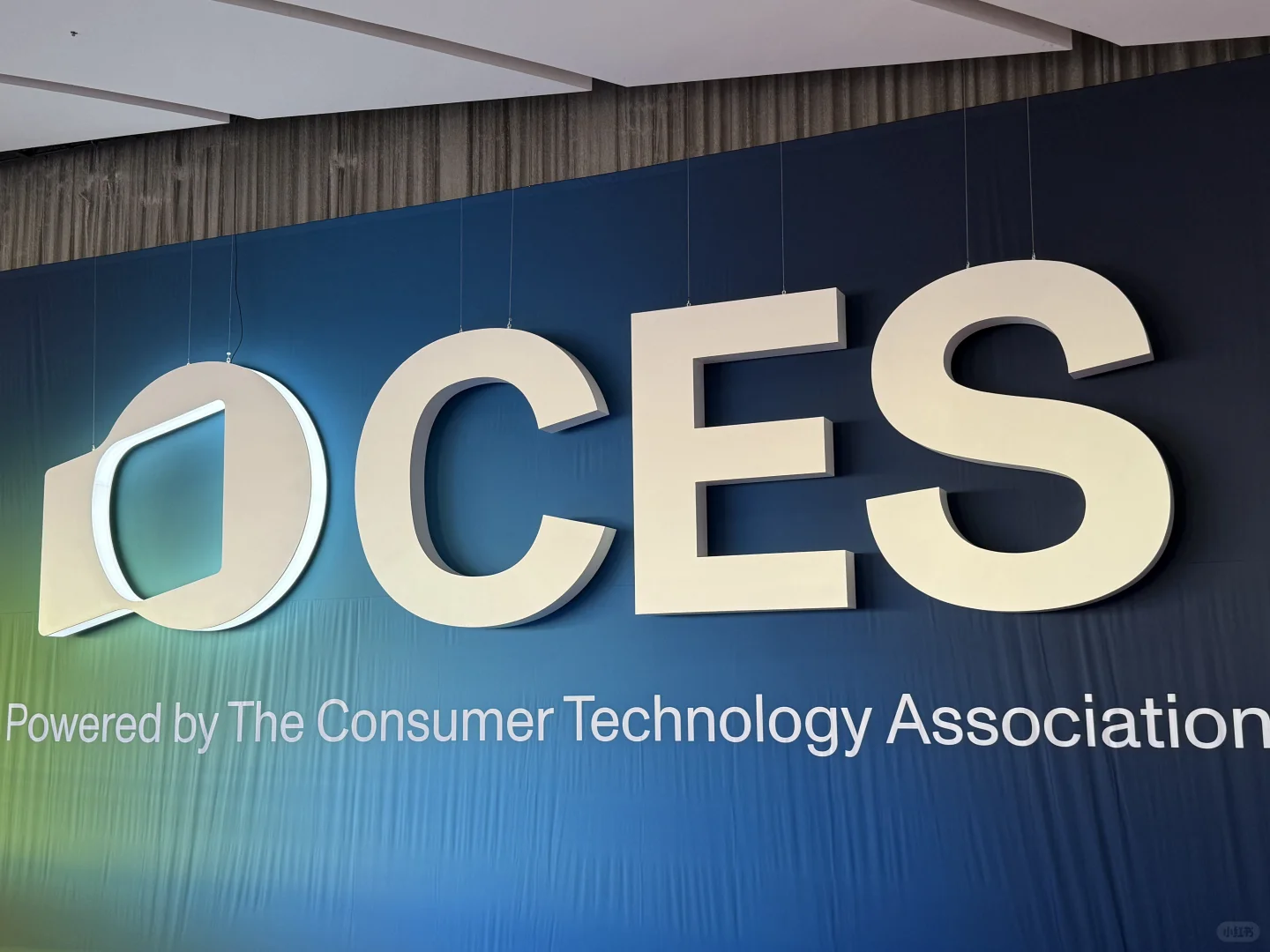 ?：拉斯维加斯CES2025电子展的第一天