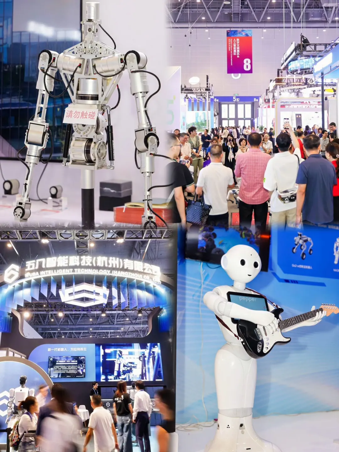 杭州大会展中心，超多机器人鸭?