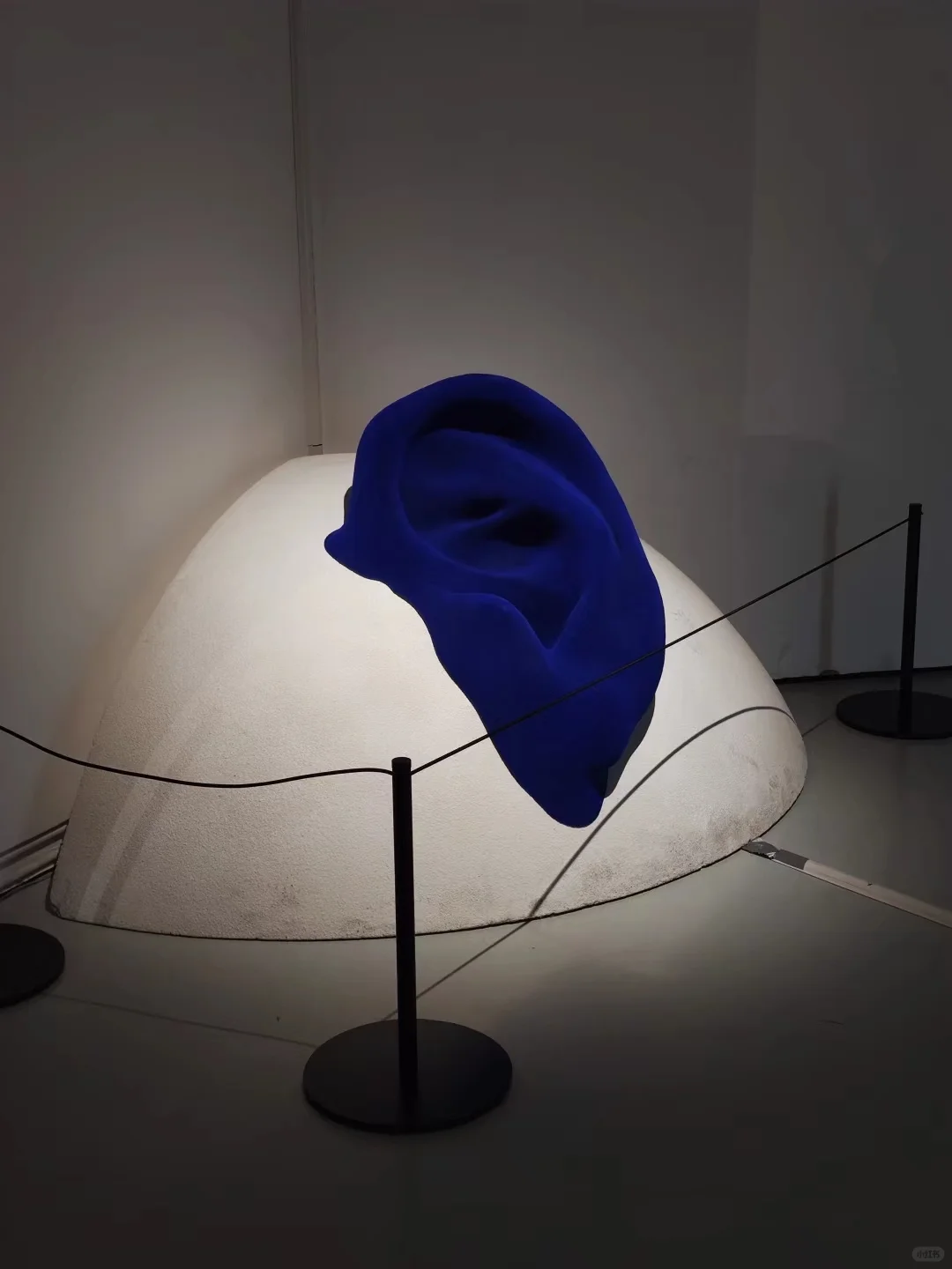 深圳过年|必看「展览」合集