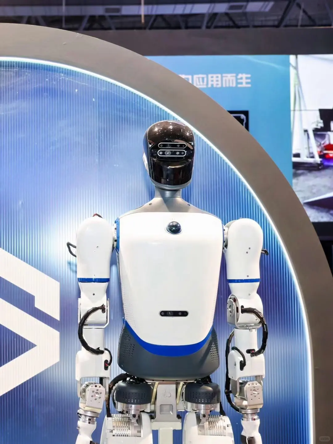 杭州大会展中心，超多机器人鸭?