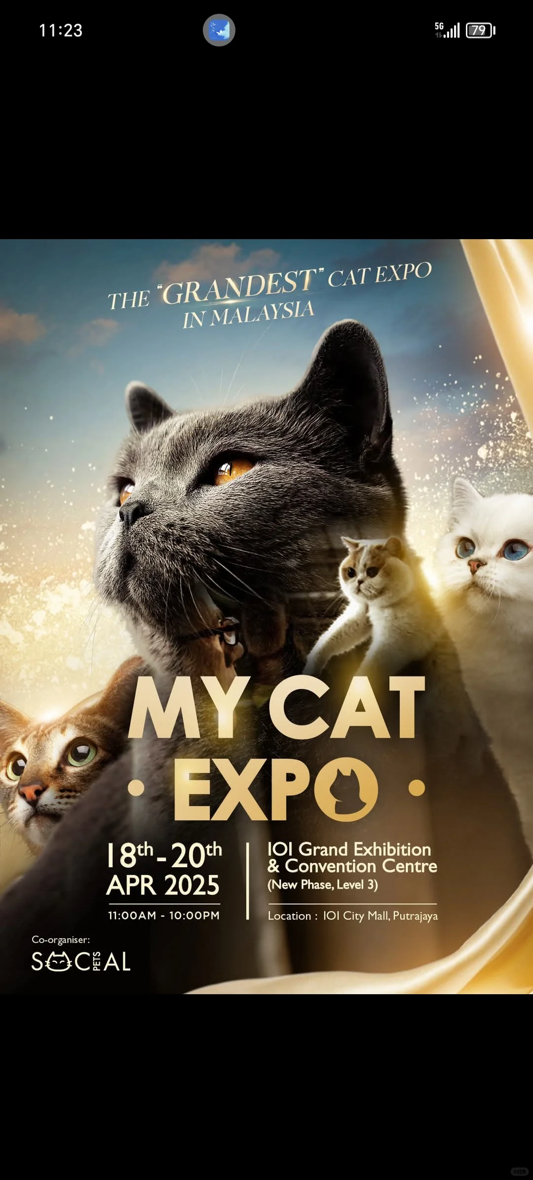 ??2025年的宠物展