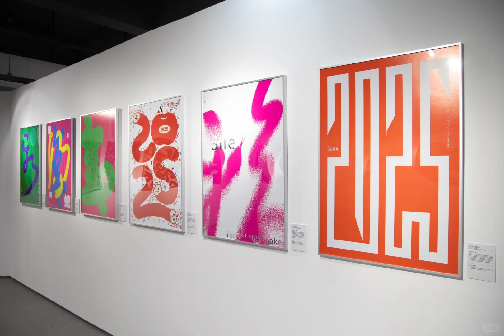 展讯｜百新—蛇年海报设计迎新展