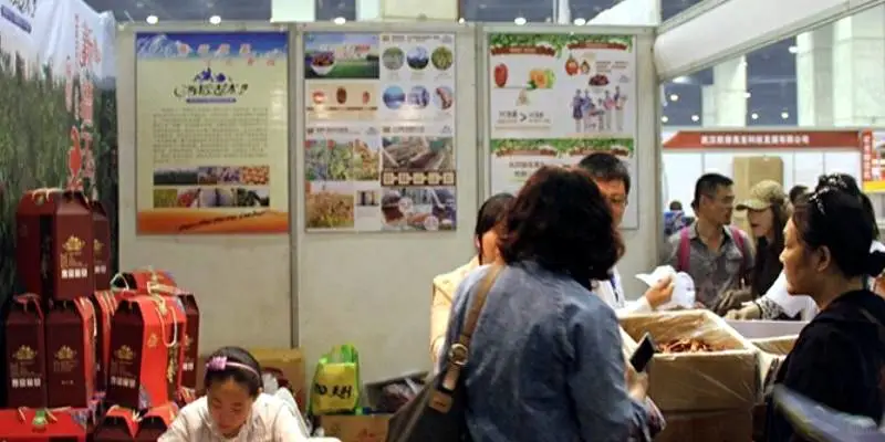 上海展会搭建区规则详解：安全、空间与时间管理