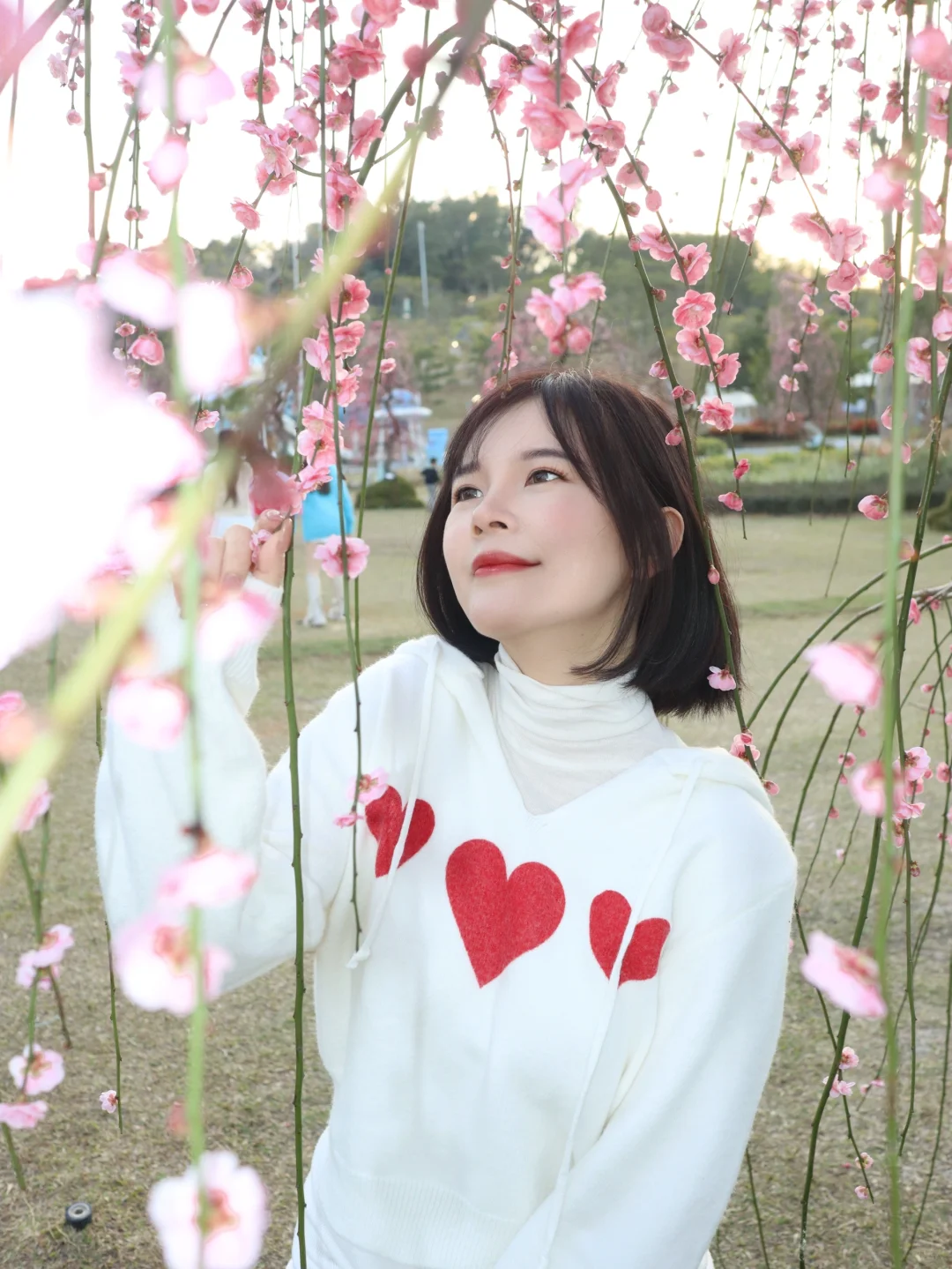 蛇年春节必逛!?梅展来啦