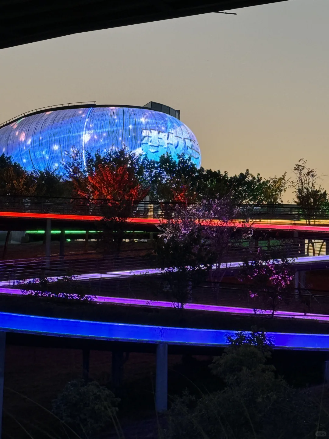 蛇年春节必逛!?梅展来啦