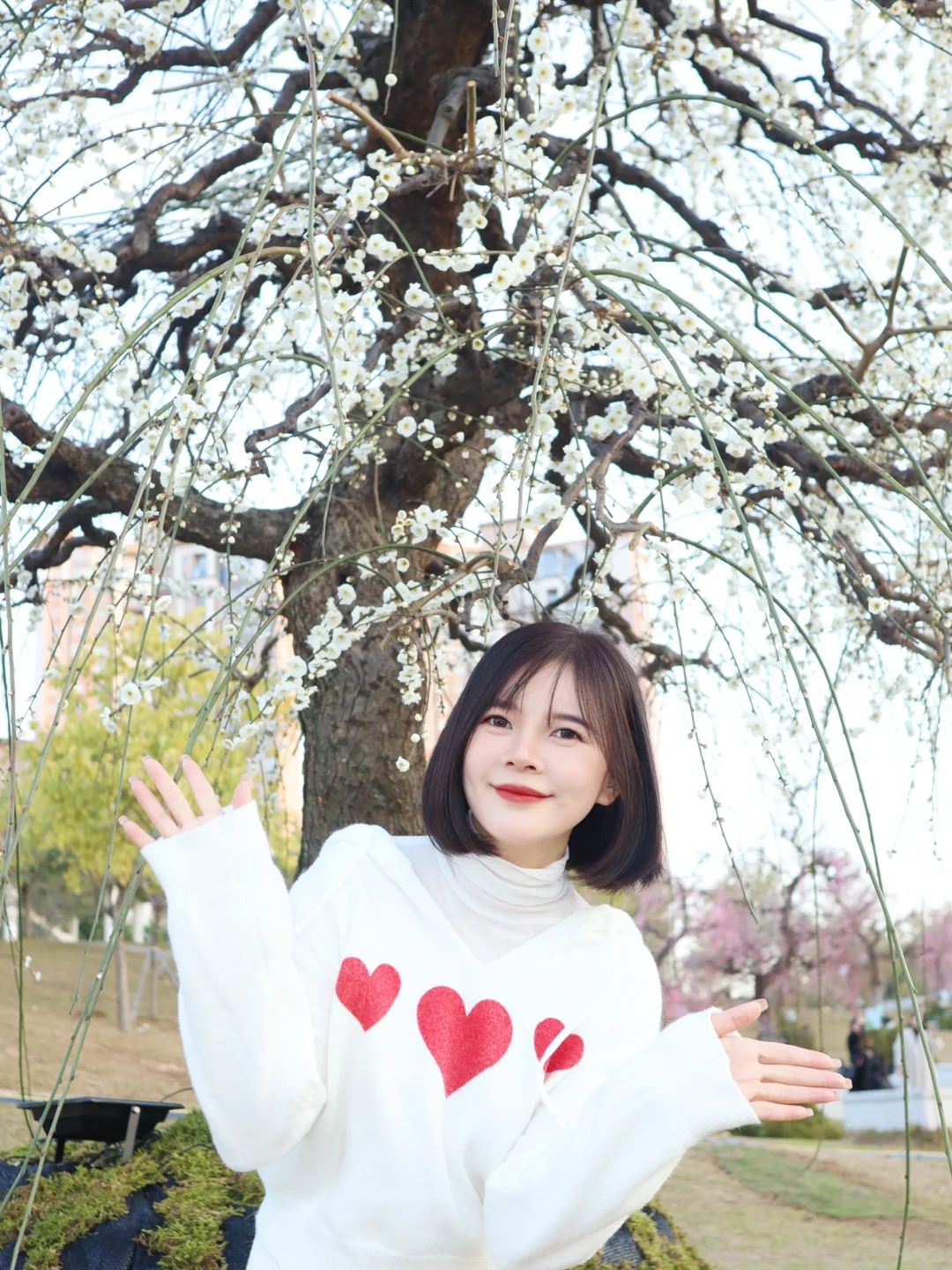 蛇年春节必逛!?梅展来啦