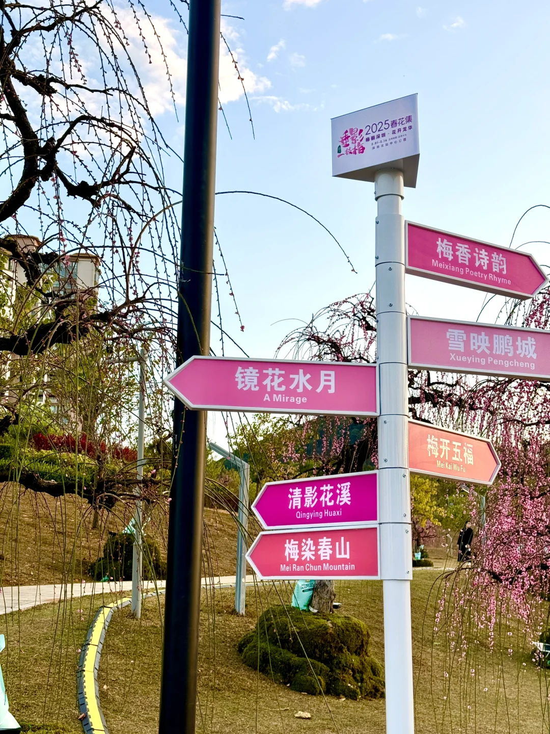 蛇年春节必逛!?梅展来啦