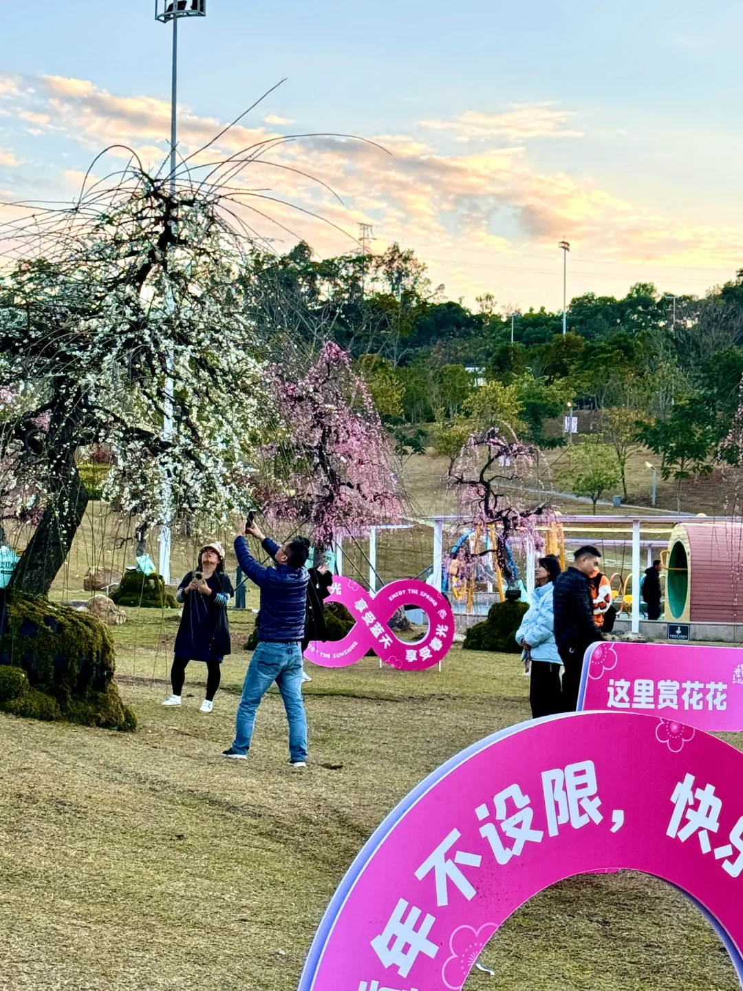 蛇年春节必逛!?梅展来啦