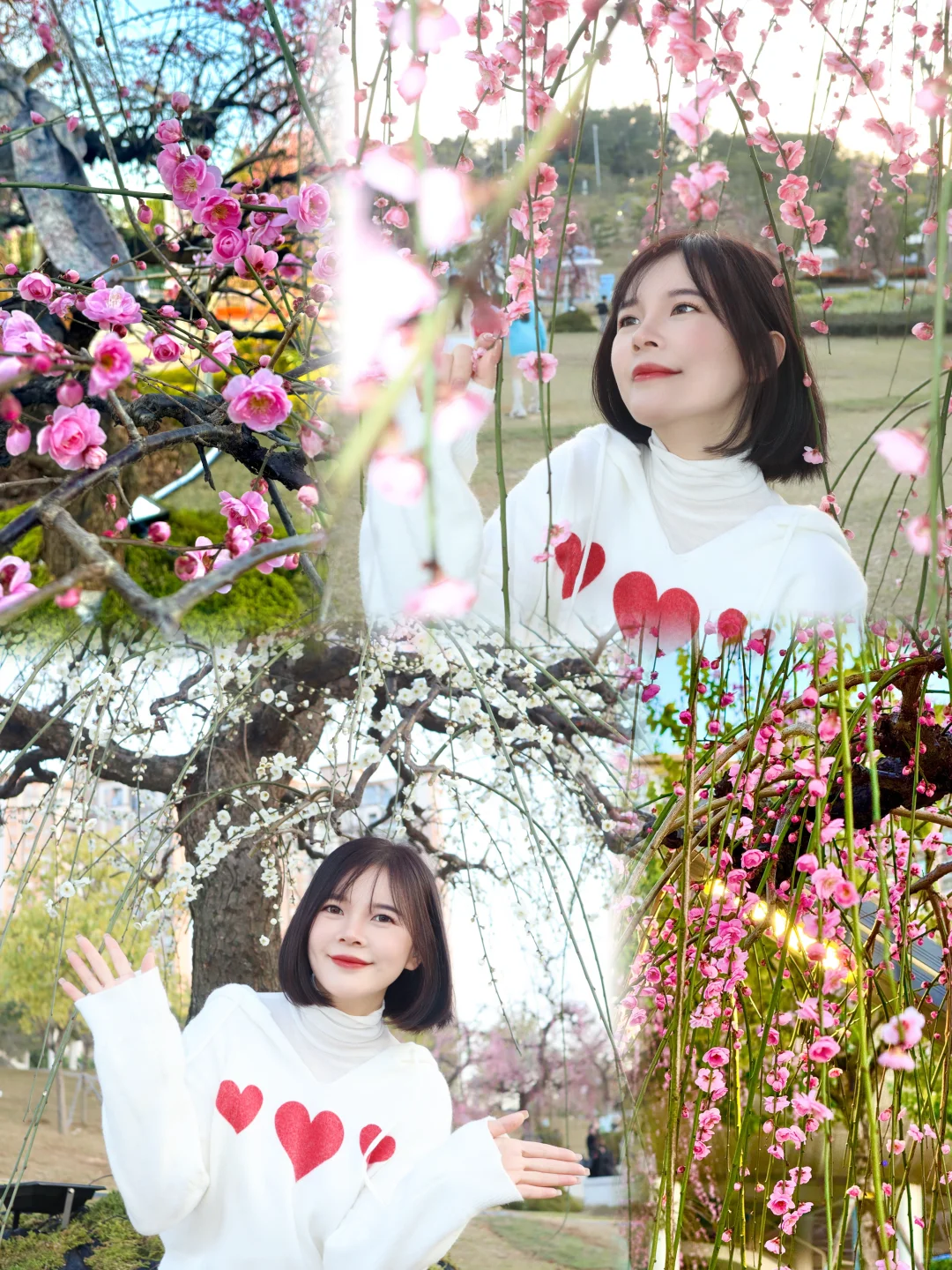 蛇年春节必逛!?梅展来啦