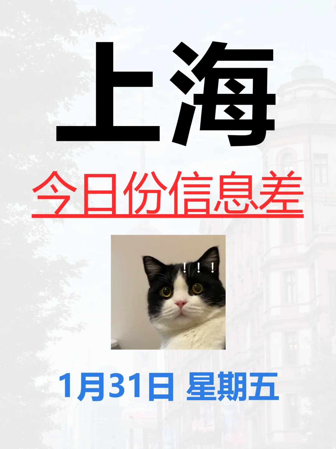 1月31|今日上海信息差已送达！！