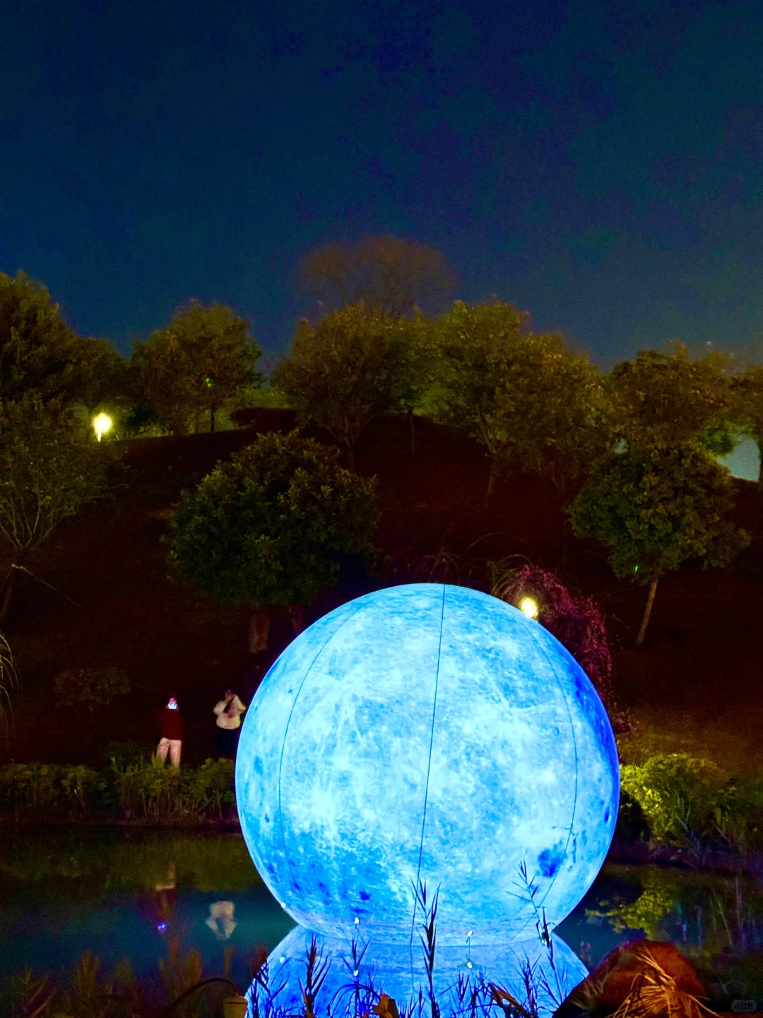 蛇年春节必逛!?梅展来啦