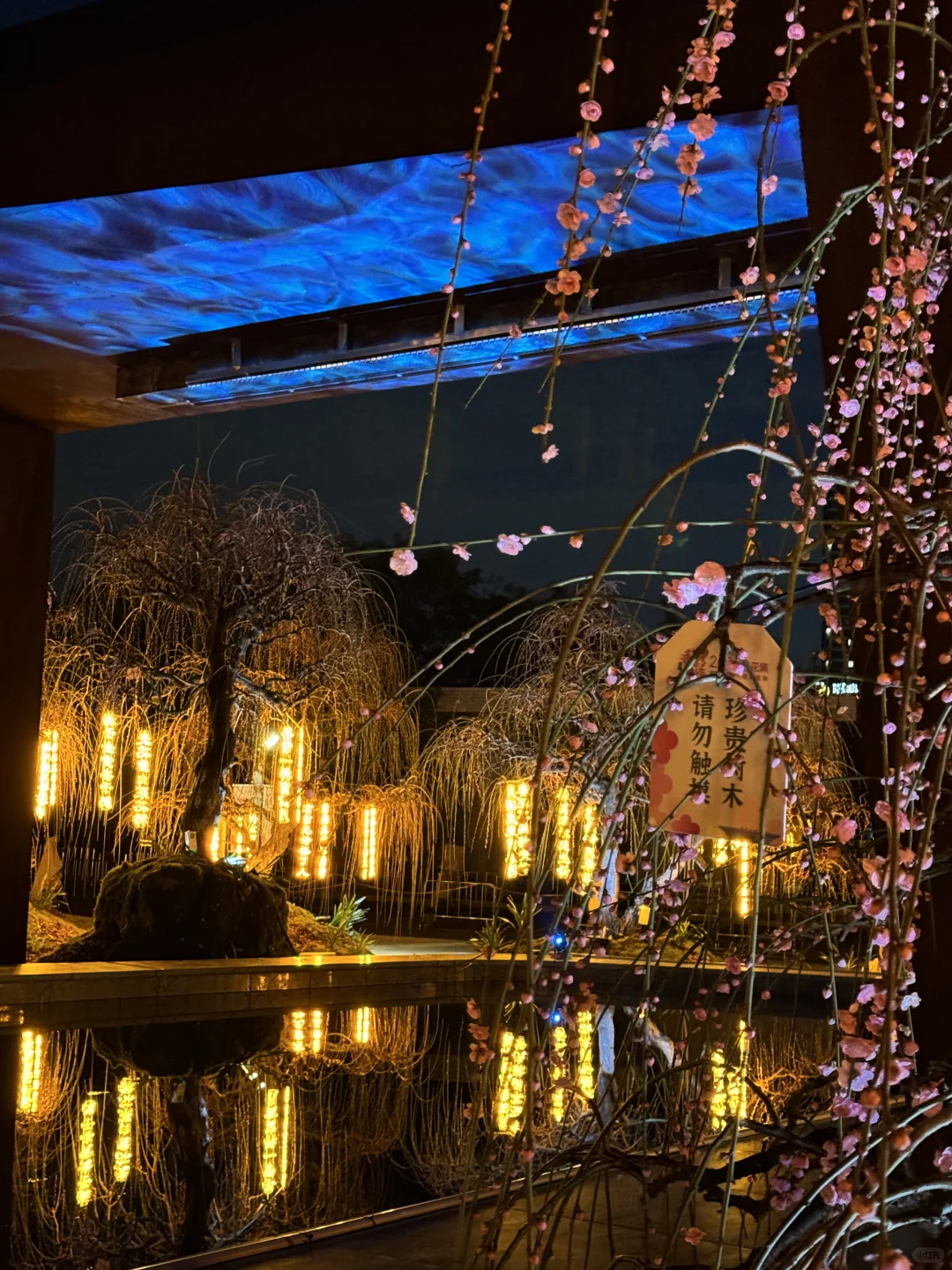 蛇年春节必逛!?梅展来啦