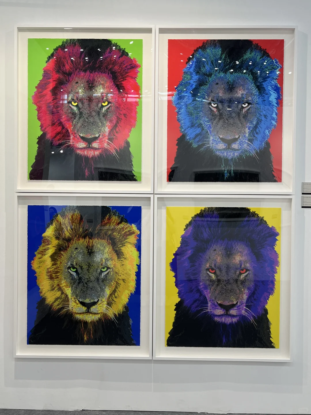 ?关于第十一届艺术深圳的一些作品