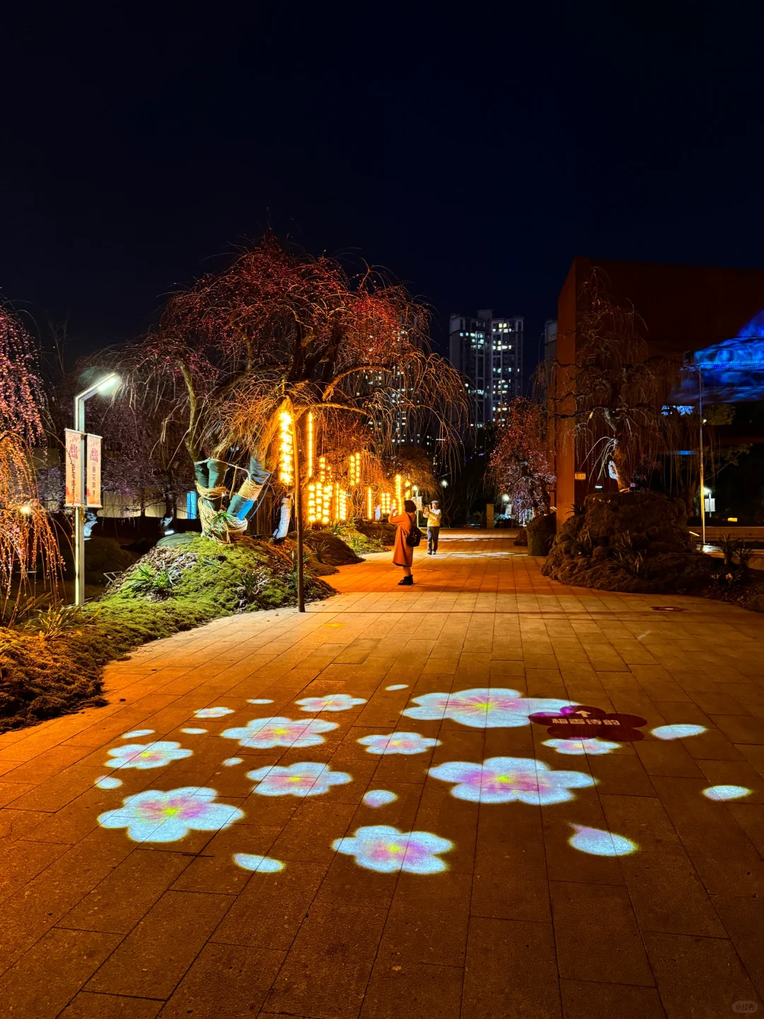 蛇年春节必逛!?梅展来啦