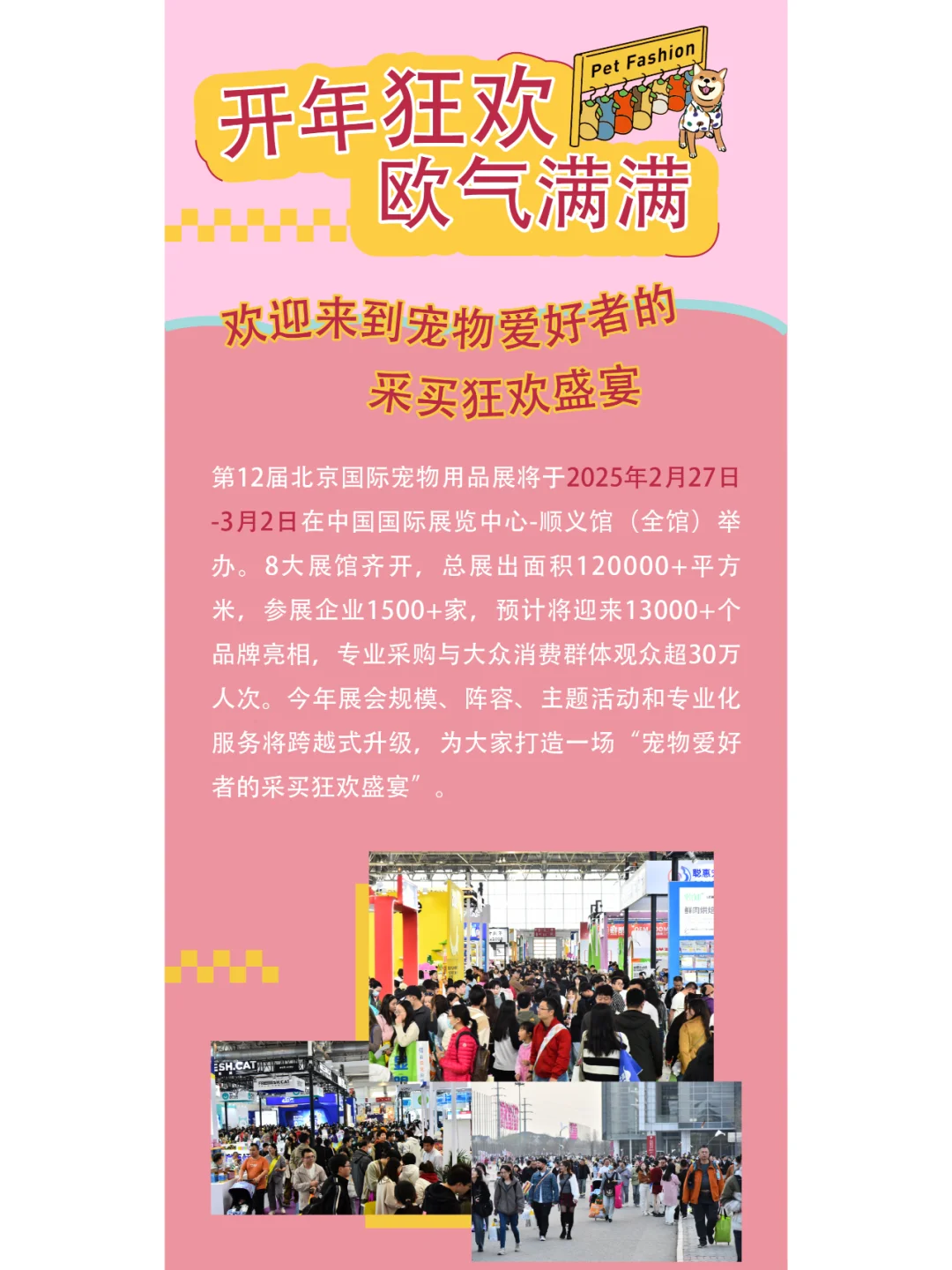 看展优惠??北京宠物爱好者集合!