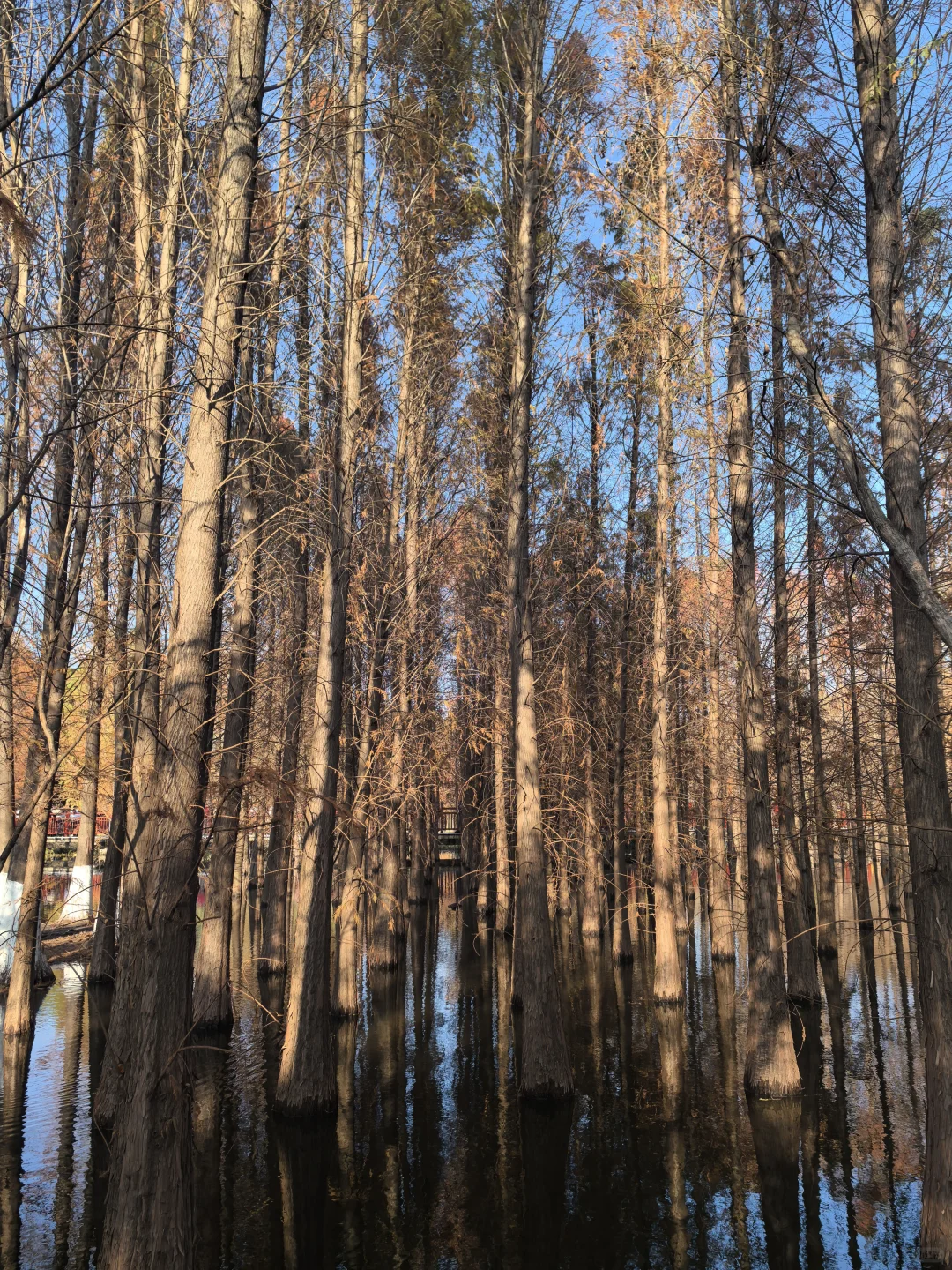 昆明亲子游——行程计划➕第一天