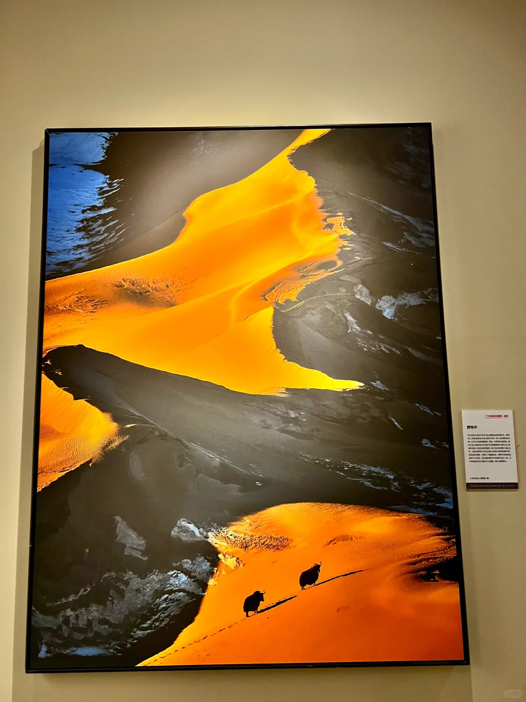 临沂首展｜中国国家地理影像展?