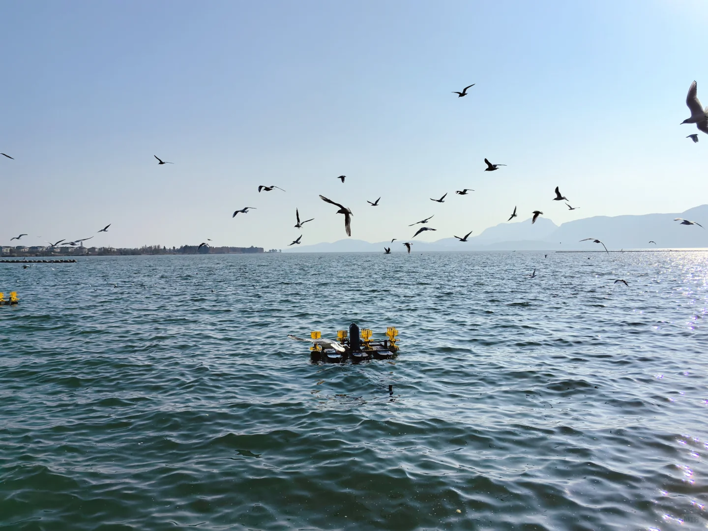 昆明亲子游——行程计划➕第一天