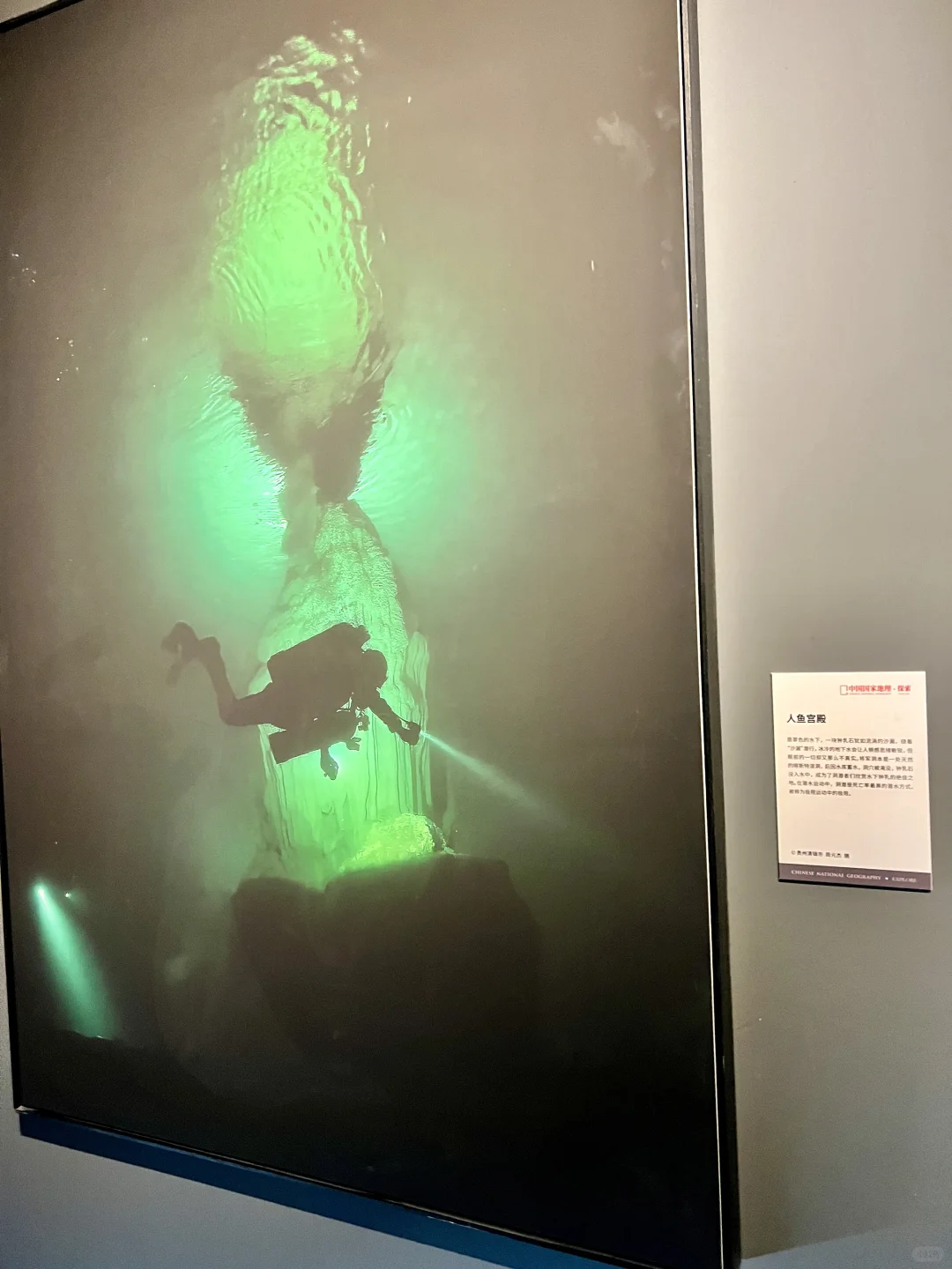 临沂首展｜中国国家地理影像展?