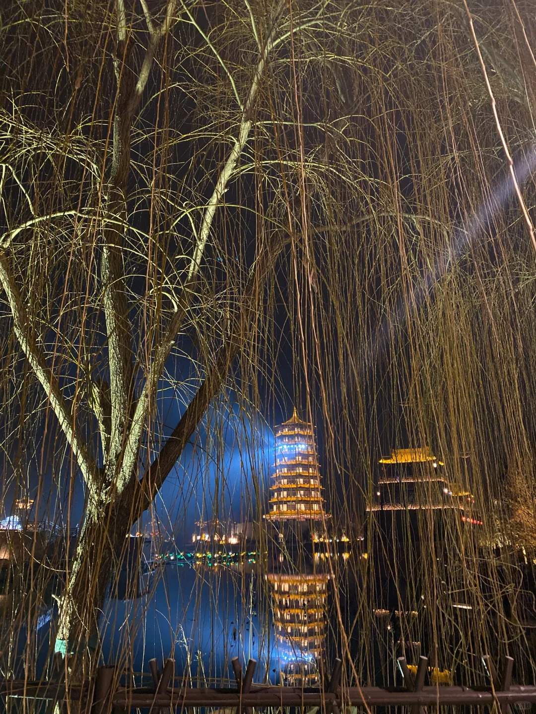 为家乡皂河龙运城打Call 灯会展别出心裁