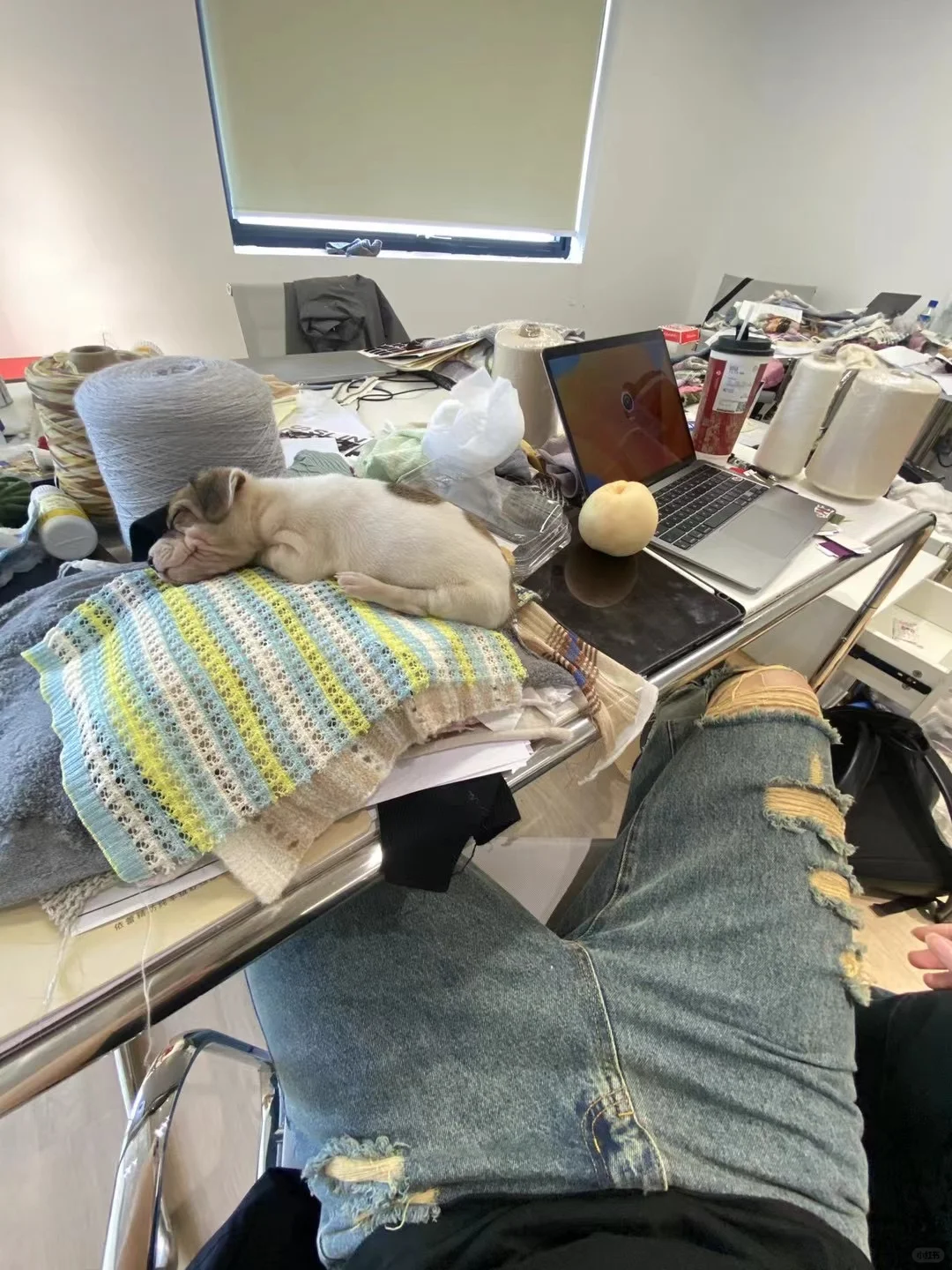 Spinexpo25AW 展会倒计时