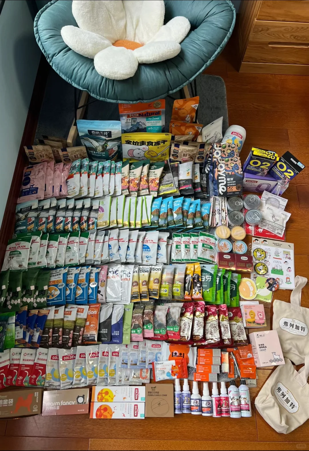 北京京宠展,专业日两天进场门票,特实惠