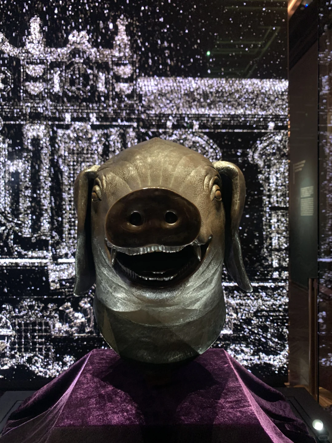 不用预约也能看‼️教你快速?免费领票看兽首