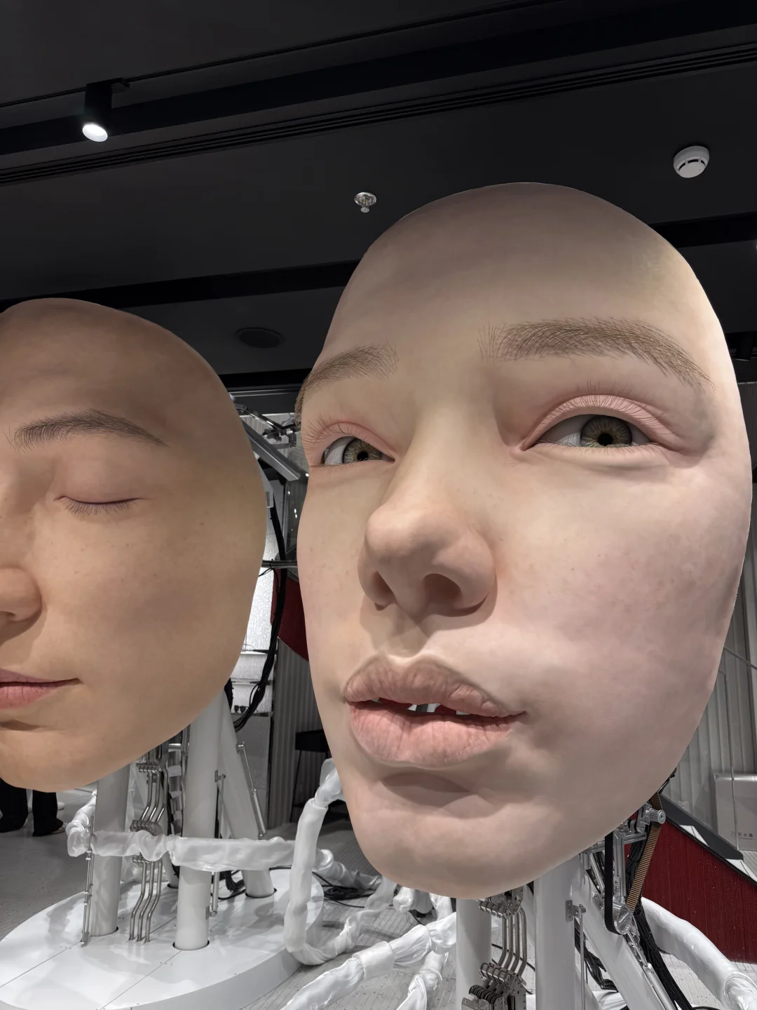 在上海！！好震撼的三张巨人脸！！！