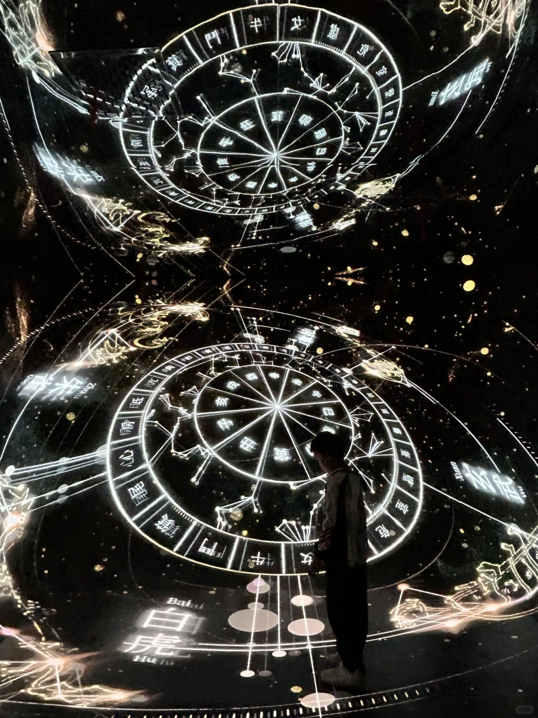 超震撼‼️寒假带娃来北京不可错过的艺术展❗️